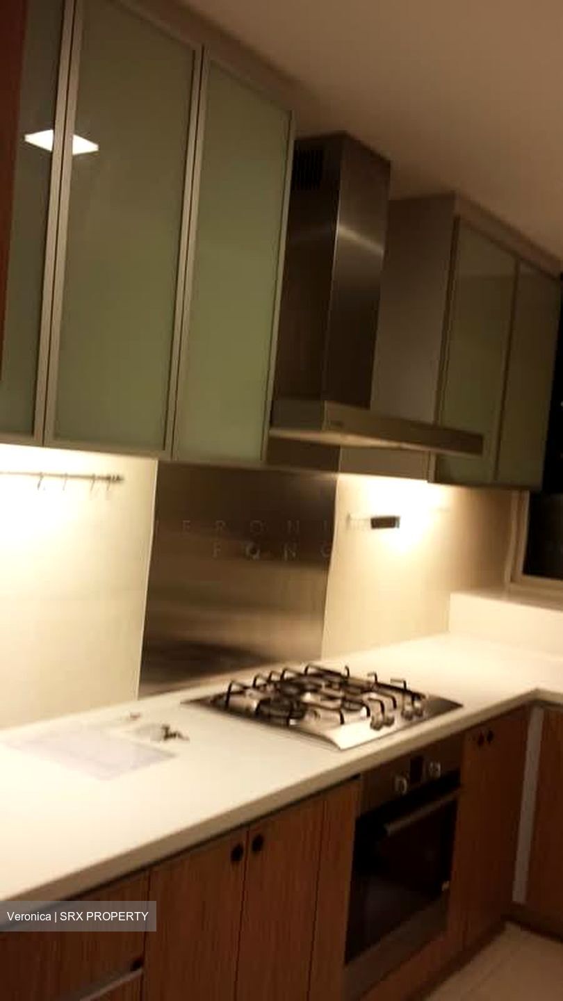 Montview (D10), Condominium #536293241